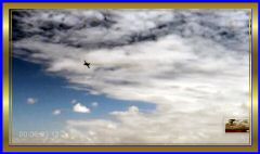 2025-10-17 at 8.53.14 AM.jpeg